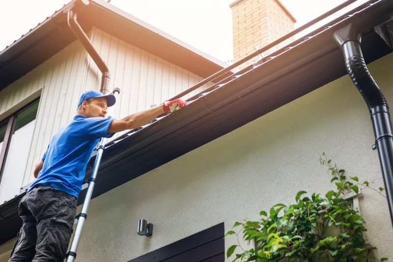 Climbing Ladder for Gutter Access