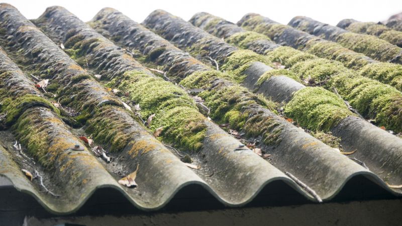 How Roof Cleaning Helps Prevent Mold, Algae, And Moss Growth