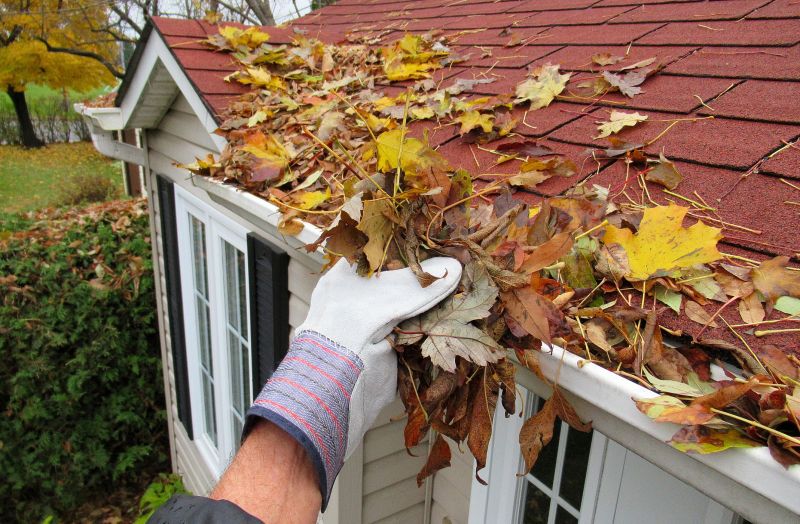 Roof Leaf Removal Service