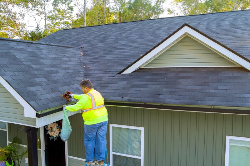 Roof with Leaf Debris