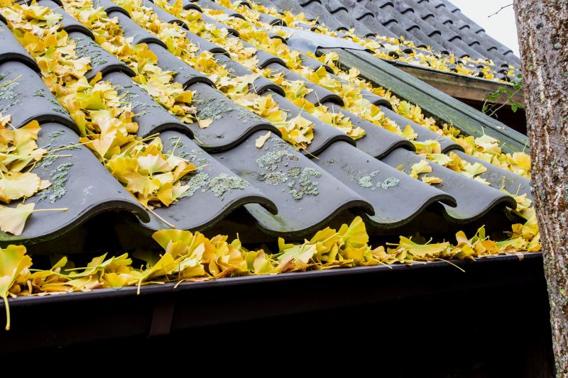 Roof Leaf Removal Service