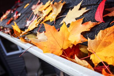Get Leaves Off Your Roof and Out of Your Gutter