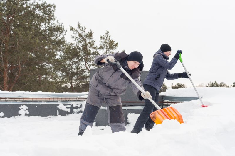 Local Roof Leaf Removal Service pros at work